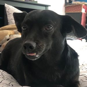 Meet your Posher, Julio